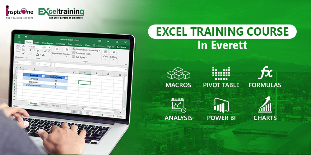 Excel Course in Everett